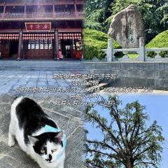 百年耿记老店 User Photo