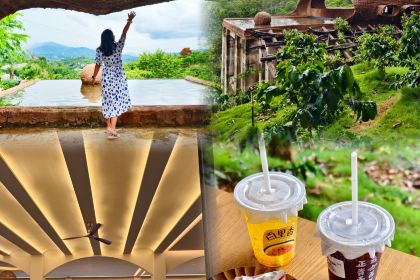 正宗杨记普洱酸醋米线(总店)