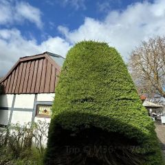 Hahndorf Inn User Photo