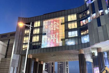 Panji Braised Pork In Brown Sauce