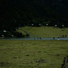 TIBETAN BAZHEN STORE User Photo