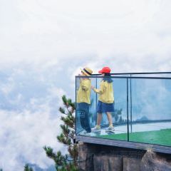 半句再见·百丈观瀑店 User Photo