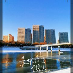 Mu Dan Jiang Xia Wei Yi Guo Ji Da Jiu Dian·Shui Yin Ri Ben Liao Li User Photo
