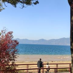 抚仙湖·自在汐岸咖啡餐吧 User Photo