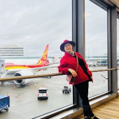 Dish D'lish User Photo