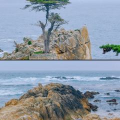 Pebble Beach Market User Photo