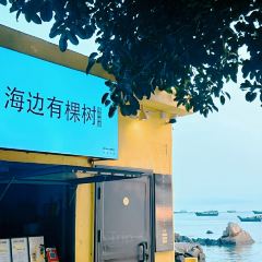 海边有棵树 여행 사진