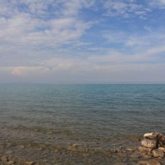青海湖藏趣部落民宿·特色餐厅 User Photo
