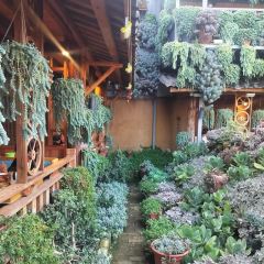 912张宜花园餐厅 User Photo