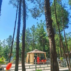 XIANG BA LI NONG GU LE User Photo