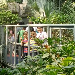 小隱圍屋張用戶圖片