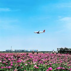 云间花境餐厅 User Photo