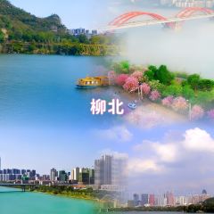 XIN SHI HUI User Photo