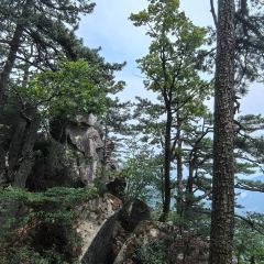 天堂古寨度假酒店·自助餐厅 User Photo