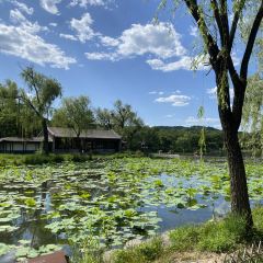 杏好遇见你(总店) User Photo