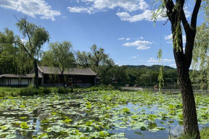 杏好遇见你(总店)