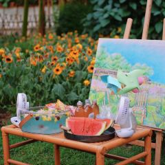 介个院子·草坪团建·围炉冰粉 User Photo