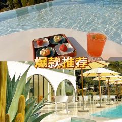 RAN THE CHEF'S TABLE User Photo