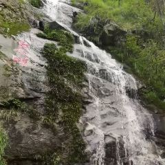 山里人家(黄尾立交桥店) User Photo