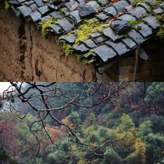 松阳记忆 User Photo