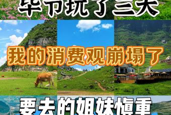 WANG FAMILY GOLD MEDAL DRIED TOFU HOT POT User Photo