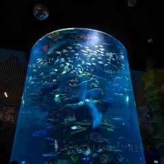 九里羊汤馆(鼓楼园林店) User Photo