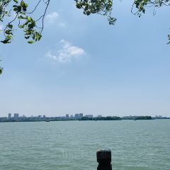 無錫魯能萬豪飯店·萬豪中餐廳張用戶圖片