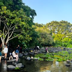 仙沟农贸市场 User Photo