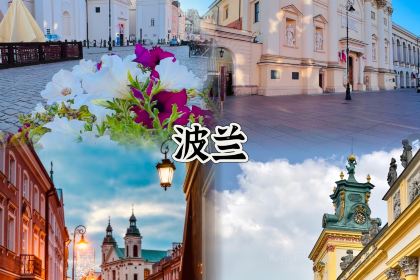 Hotel & Bungalows Mayaland - Buffet Restaurant