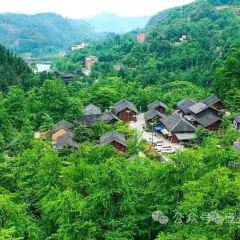 盘州·东湖里·假日酒店(东湖公园银杏广场店)·四季三食 User Photo