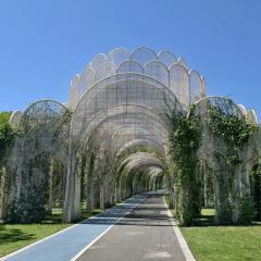 半两·咖啡书店·浮生是杯酒 User Photo