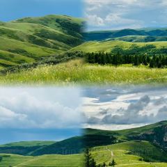 白老大羊杂碎稍麦 User Photo