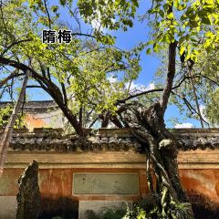 RONG CUISINE User Photo