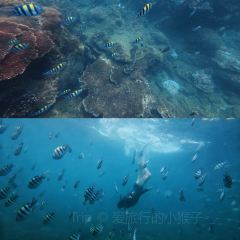 HUA NAN BAO User Photo