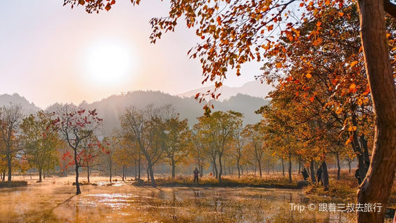 he xi fan shui shang hong ye