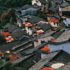 YEXIWANGSHAGUO User Photo