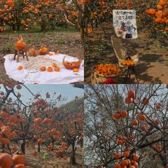 瑶乡饭店 User Photo