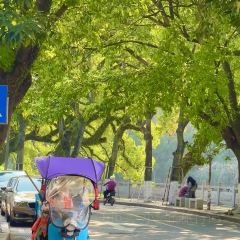 吴进平小食店 User Photo