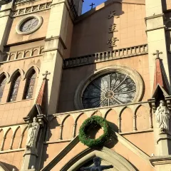 王阿姨梅花糕 User Photo