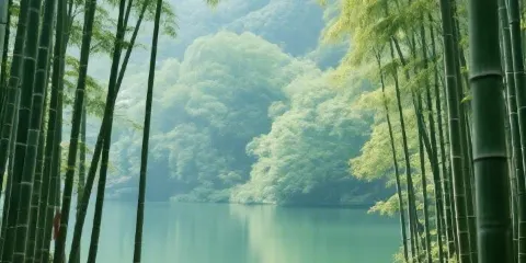 蜀香園（榮昌北街店）