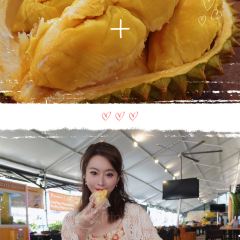 Dking diyiliu User Photo