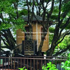 ThaiWan-Thai灣(ไทยหวัน) User Photo