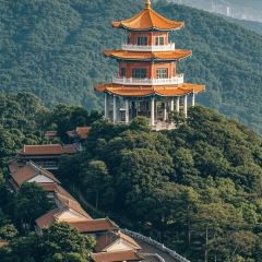 杞兴东莞烧鹅(石井路店) User Photo