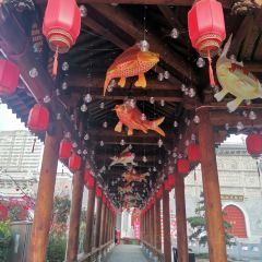 QI ZHI WEI LU ROU JUAN User Photo