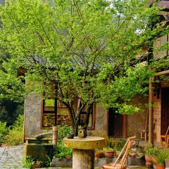 清湖人家 User Photo