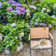 海如的花園張用戶圖片