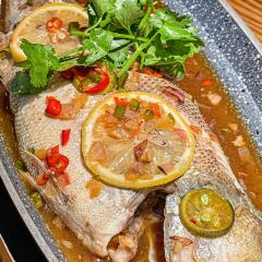 金光鴿王（華貿天地店）張用戶圖片