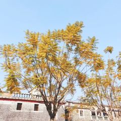 祠唐糖水铺 User Photo