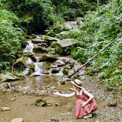 柒月麓山 여행 사진