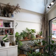 GLOW coffee User Photo